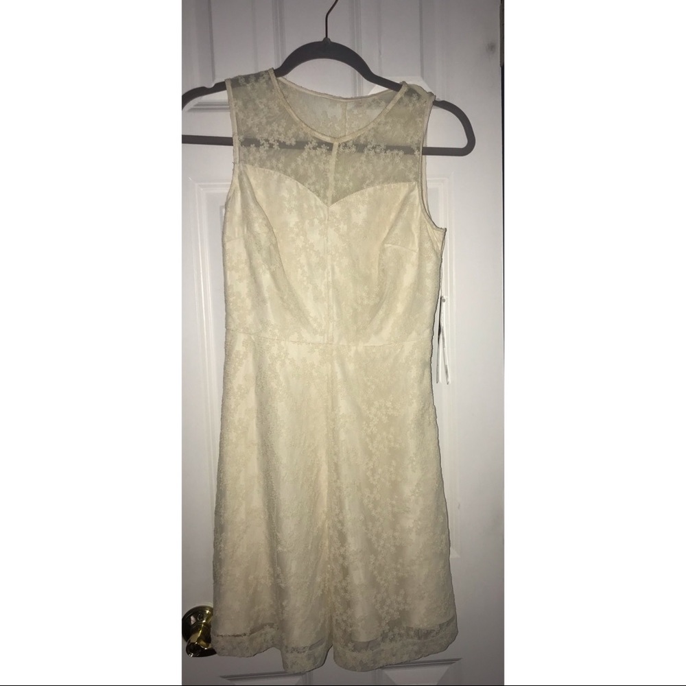 Women’s Dress